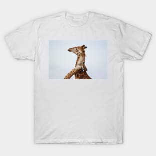 Southern Giraffe (Giraffa giraffa) T-Shirt